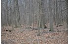 Property photo 15 - REAL ESTATE & FARM EQUIPMENT AUCTION IN ALLEN COUNTY, INDIANA